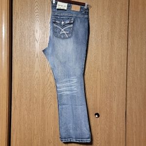 Series 31 Jeans 👖Amethyst Womens Size 24 Distressed (#1)